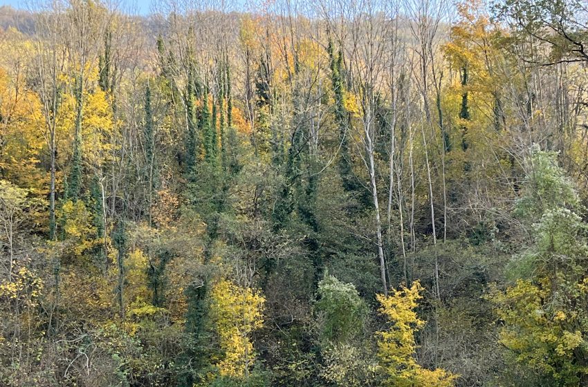  12/11/2021 – INTERROTTA LA TRATTATIVA SUL PREMIO AZIENDALE